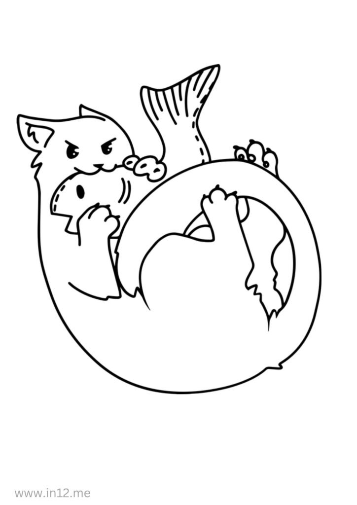 imagem de gato para colorir